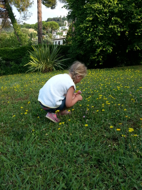 Et lite barn sitter på huk i gresset og plukker gule blomster i en hage med frodig grønt i bakgrunnen.