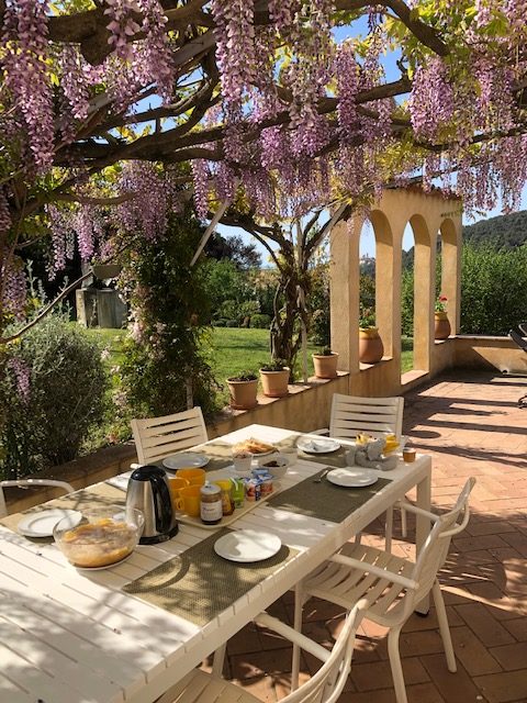 Utendørs frokostbord under blåregnranker på en terrasse, med mat og drikke, med utsikt over en solrik hage.