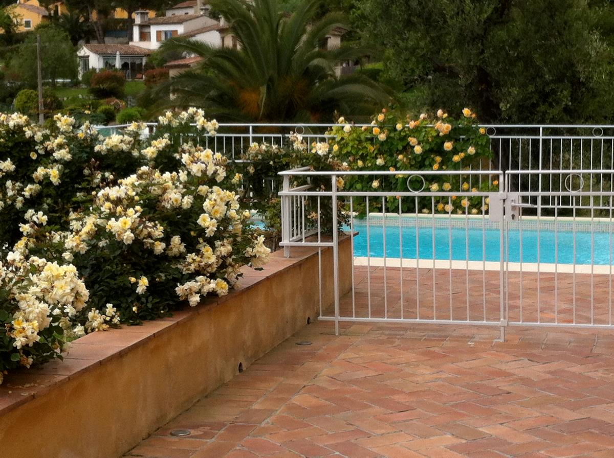 Hvite blomster ved et inngjerdet svømmebasseng på en uteplass med hus og palmer i bakgrunnen.